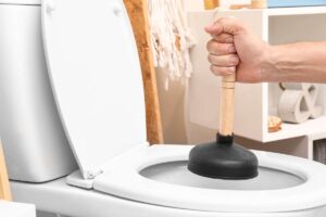 Disostruzione WC Como